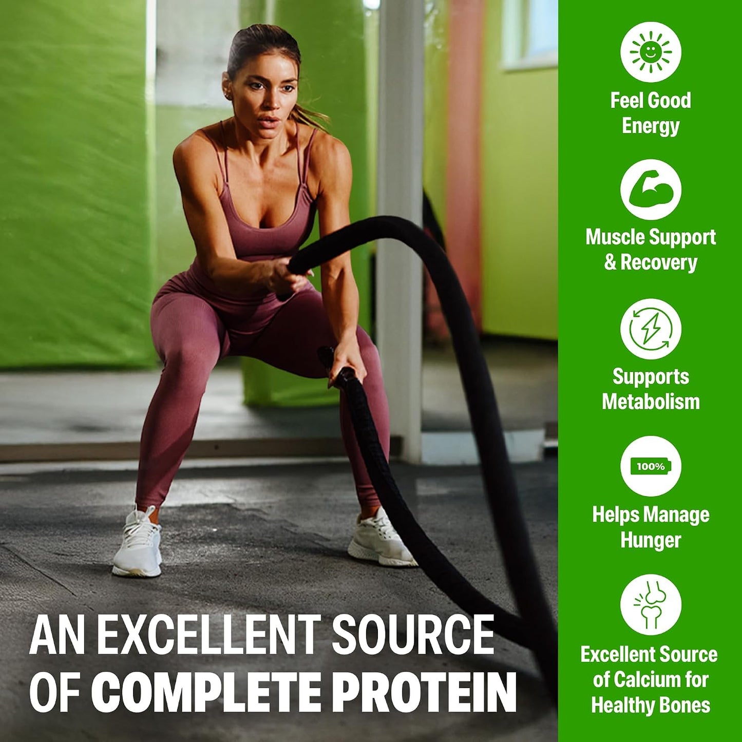 Orgain 38g High Protein Grass-Fed Shake, 6g BCAAs, Chocolate, 14 oz, 12pk | Ready to drink dairy isolate milk protein, meal replacement, 1g sugar per serving, keto friendly, gluten free