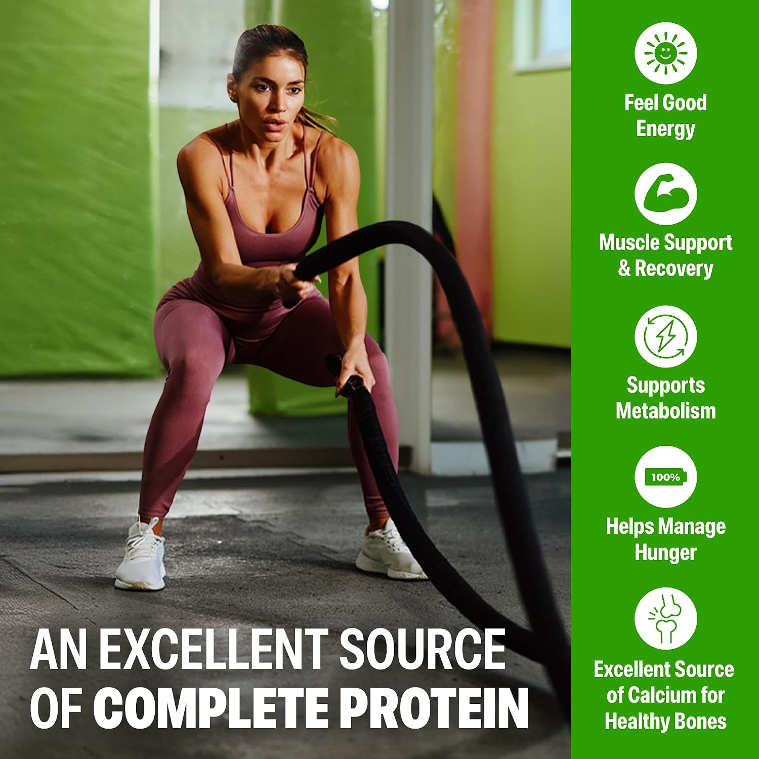 Orgain 38g High Protein Grass-Fed Shake, 6g BCAAs, Chocolate, 14 oz, 12pk | Ready to drink dairy isolate milk protein, meal replacement, 1g sugar per serving, keto friendly, gluten free